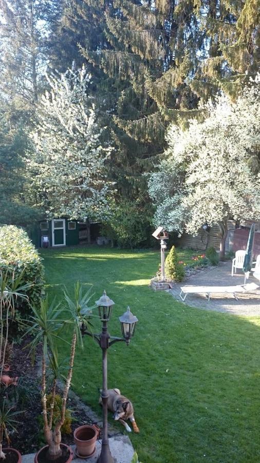 Ferienhaus Lara Heimbach Exteriör bild