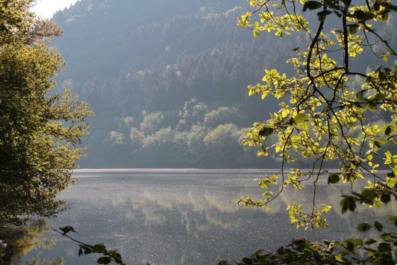 Ferienhaus Lara Heimbach Exteriör bild